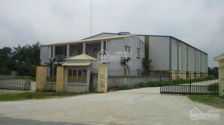 Chính Chủ Cho Thuê Nhanh Gấp Nhà Máy Kho Xưởng Công Ty Trường Thành, Dt: 400m2, 800m, 1500m2, 5000m2 Cụm Cn Hà đông 6