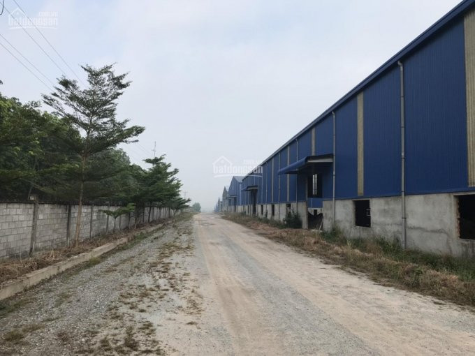 Chính Chủ Cho Thuê Nhanh Kho Xưởng Có Dock Container Tại Khu Công Nghiệp Hiệp Phước, Huyện Nhà Bè, Tp Hcm 2