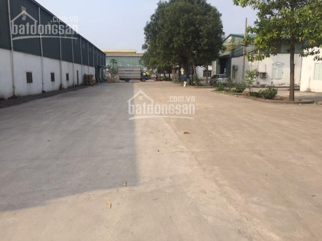 Chính Chủ Cho Thuê Nhanh Kho Xưởng Dt 2000m2, 3200m2, 5400m2, 9000m2 Tại Phố Nối A, Văn Lâm, Hưng Yên 0979929686 3