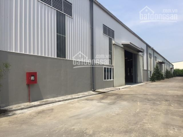 Chính Chủ Cho Thuê Nhanh Kho Xưởng Dt 2000m2, 3200m2, 5400m2, 9000m2 Tại Phố Nối A, Văn Lâm, Hưng Yên 0979929686 4