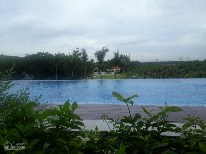 Chính Chủ Cho Thuê Nhanh Nhanh Căn Hộ 2pn Thủ Thiêm Dragon, Quận 2 Full Nội Thất View Sông, Lh 0356195160 7