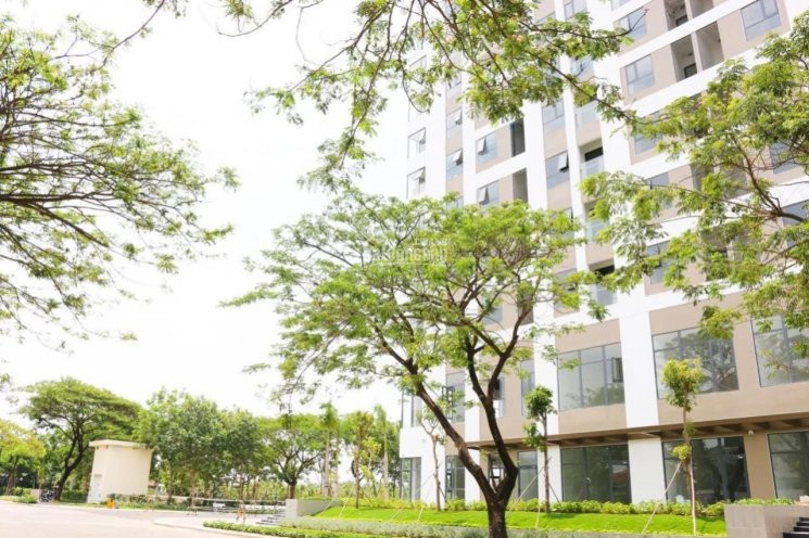 Chính Chủ Cho Thuê Nhanh Nhanh Căn Hộ 2pn Thủ Thiêm Dragon, Quận 2 Full Nội Thất View Sông, Lh 0356195160 8
