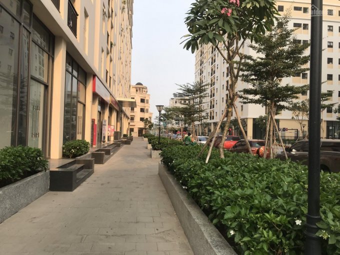 Chính Chủ Cho Thuê Nhanh Shophouse Góc Cityland Gò Vấp Block P3 Diện Tích 100m2, Giá 30 Triệu/tháng Lh: 0767867899 1