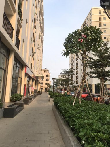 Chính Chủ Cho Thuê Nhanh Shophouse Góc Cityland Gò Vấp Block P3 Diện Tích 100m2, Giá 30 Triệu/tháng Lh: 0767867899 8