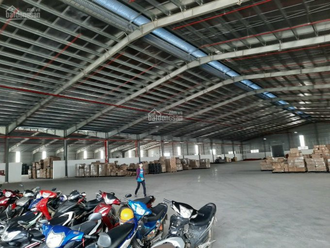 Chính Chủ Cho Thuê Nhanh Xưởng 20000m2 Trong Cụm Công Nghiệp Khánh Bình Giá: 71235,2đ/m2 Lh: 0937 557 667 2