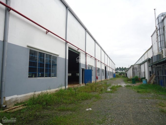 Cho Thuê Kho Xưởng 2000m2, 4000m2, 8000m2, Gần Khu Công Nghê Cao Q9, Hcm 2