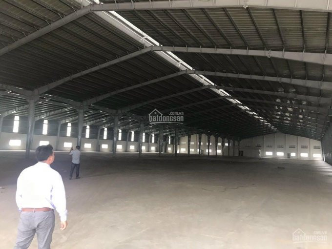 Cho Thuê Kho Xưởng Dt 20000m2 Tại Bình Chánh Tp Hồ Chí Minh, Cách Nhà Thờ đức Bà 20km 1