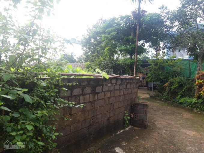 Chủ Cần Tiền Bán Gấp 670m2 Tại Nhuận Trạch, Lương Sơn, Với Giá Cực Rẻ, Mặt đường Ngõ 10m 2
