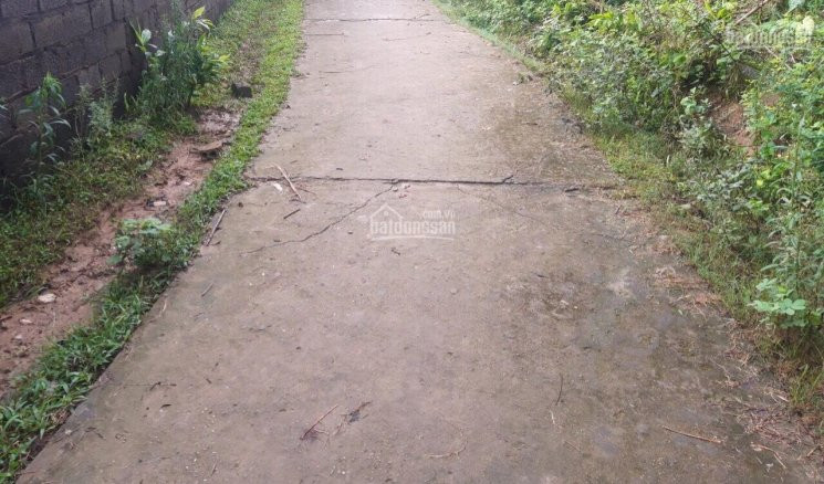 Chủ Cần Tiền Bán Gấp 670m2 Tại Nhuận Trạch, Lương Sơn, Với Giá Cực Rẻ, Mặt đường Ngõ 10m 3
