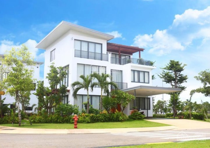 Chuyên Chuyển Nhượng Swan City, Nhận Tất Cả Sản Phẩm Swan Park, Swan Bay Giá Tốt Nhất, 0902513911 5