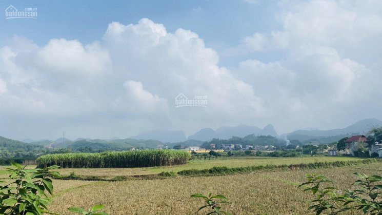 Cơ Hội Sở Hữu Ngay 6424m2 đất Thổ Cư View Tuyệt đỉnh Tại Kim Bôi, Hòa Bình 1