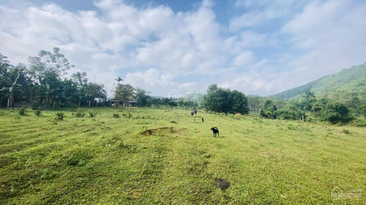 Cơ Hội Sở Hữu Ngay 6424m2 đất Thổ Cư View Tuyệt đỉnh Tại Kim Bôi, Hòa Bình 3