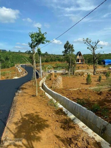 Còn Vài Lô đất Biệt Thự Dam'ri ,bảo Lộc View Suối Tự Nhiên ,15 Tr/m2 , Shr 6