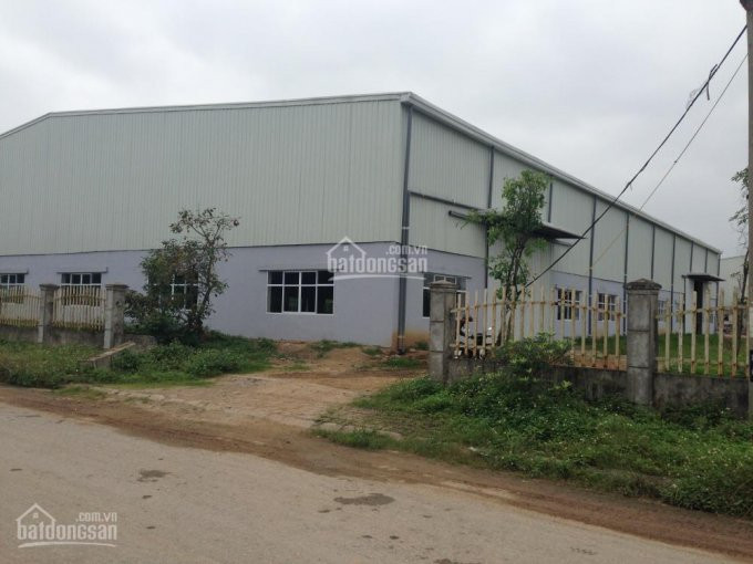 Công Ty Cp Hải Long Cho Thuê Gấp Nhà Xưởng, Dt: 300m2, 800m2, 1500m2 Kiến Hưng, Hà đông 3