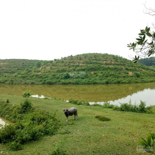 Cực Rộng, Cực đẹp, 8ha Sơn Thủy Hữu Tình ở Lương Sơn, Hòa Bình Cần Bán 1