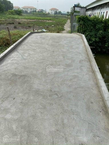 đất 200m2 Thổ 669m2 Lua Giá 2,7tỷ Phước Hậu, Cần Giuộc, Long An 3