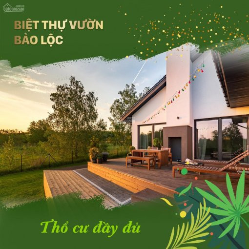 đất Biệt Thự Nghĩ Dưỡng Bảo Lộc 300m2/490tr  Lh 0908195662 3