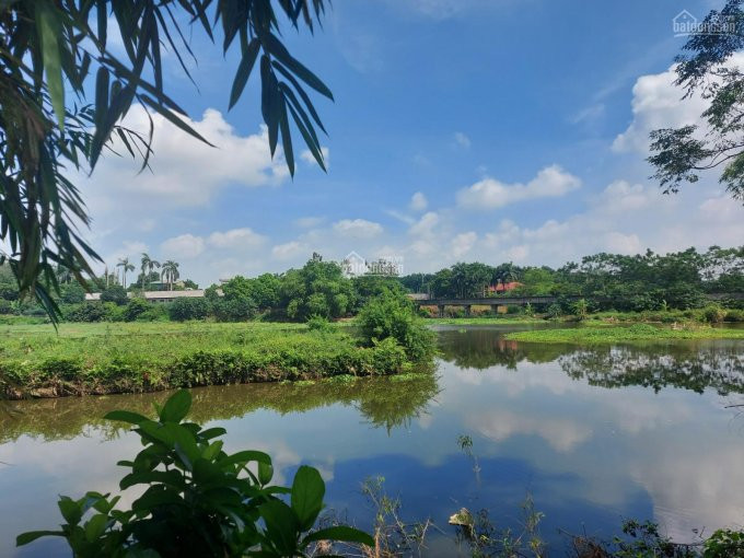 đất Bình Yên, Tân Xã, Công Nghệ Cao Hòa Lạc, đầu Tư 130m2 View đẹp, Thoáng, ô Tô Tránh Nhau 1