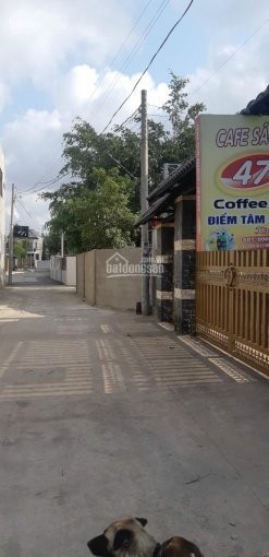 đất Khu Dân Cư Hoàng Hùng Võ Thị 6 đông Hoà Dĩ An, Dt Gần 500m2 Giá 77 Ti 3