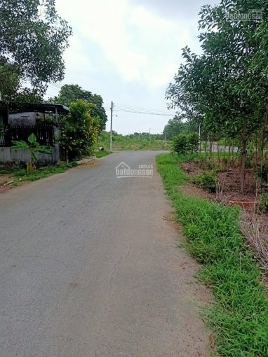 đất Mặt Tiềnliền Kề Kcn Trảng Bom, đồng Naigiá 245tr - 268tr/nền (100%)sổ Hồng 2