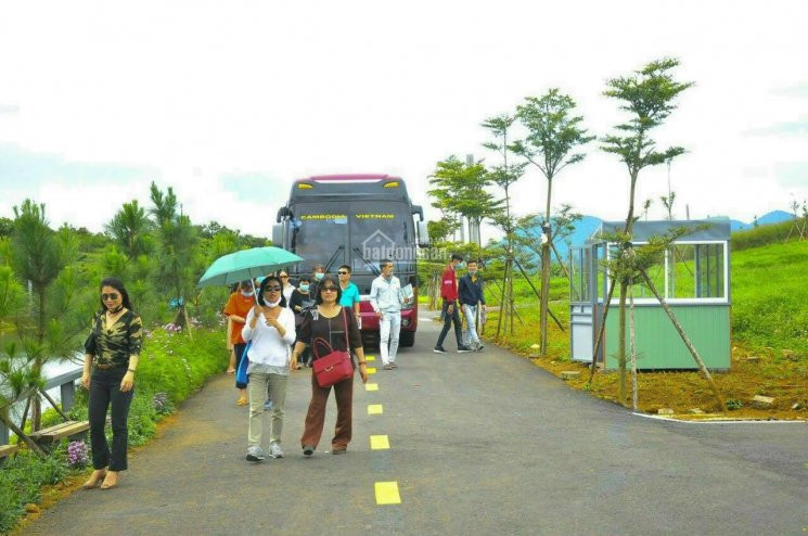 đất Nền Nghỉ Dưỡng View Hồ, đồi Chè Sổ Sẵn, đoán đầu Cao Tốc 2,5km, Hổ Trợ Thanh Toán 1 Năm 5