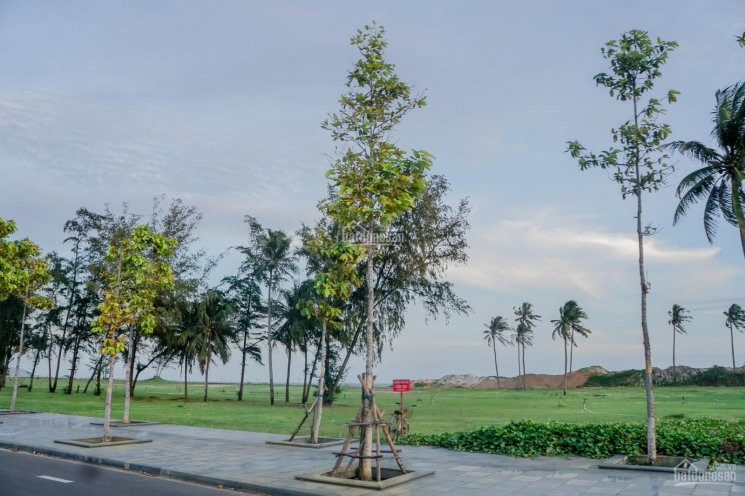 đất Nền Ocean Dunes - Phố Biển Rạng đông Cập Nhật Tháng 11 - 2020 đường Lớn, View Biển, View Cv 3