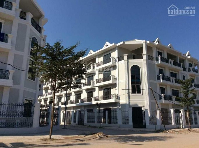 Liền Kề, Biệt Thự, Shophouse đại Kim Hacinco - Suất Ngoại Giao Giá Tốt Nhất 5