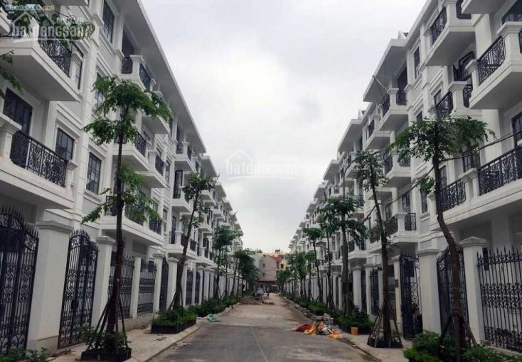 Liền Kề, Biệt Thự, Shophouse đại Kim Hacinco - Suất Ngoại Giao Giá Tốt Nhất 7