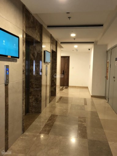 Pkd Chủ đầu Tư Mở Bán Nội Bộ Chỉ 10 Căn Officetel Tòa Nhà The Golden Star Quận 7 4