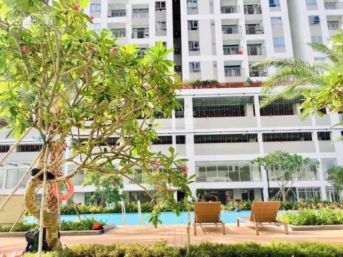 Quản Lý Bán Căn Hộ Luxgarden Quận 7, Có Sổ Hồng - Căn 2 Phòng, 3 Phòng Ngủ - Có Sân Vườn 3