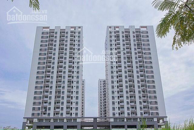 Shophouse Quận 7 - Chiết Khấu 20% 3