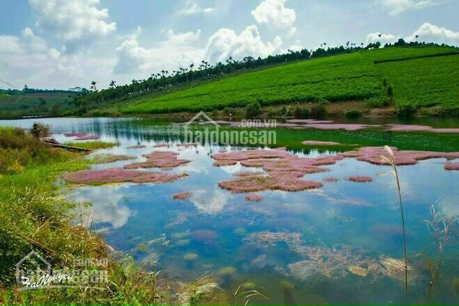 Siêu Phẩm 4d Chỉ Còn Quài Lô Ngay View Suối View đồi Thông Giá 3xxx 3