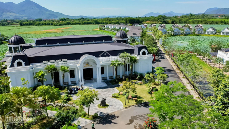 Sitetour đưa Khách đi Dán Vườn Vua Resort&villas Free,3,2 Tỷ/căn Full Nội Thất Cho Thuê 30tr/tháng 4