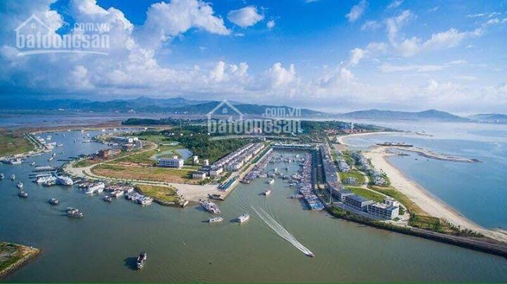 Tôi Cần Bán Nhiều Lô đất Tuần Châu, Hạ Long View Thoáng đẹp, Không Khí Trong Lành 3