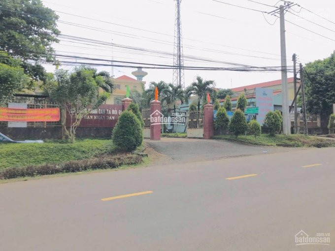 Tôi Chuyển Về Biên Hòa Làm Việc Nên Muốn Bán Gấp Lại Miếng đất ở Khu Dân Cư Trảng Bom, Giá 860tr 3