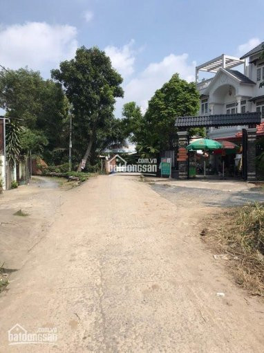 Tôi Chuyển Về Biên Hòa Làm Việc Nên Muốn Bán Gấp Lại Miếng đất ở Khu Dân Cư Trảng Bom, Giá 860tr 4