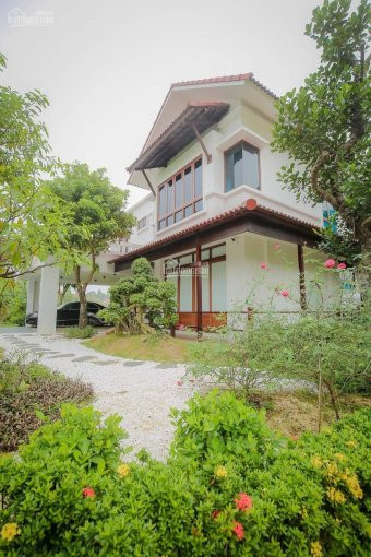 Trực Tiếp Pkdcđt Mở Bán Quỹ Ngoại Giao Biệt Thự Xanh Villas - Vị Trí đẹp Hotline: 0822 92 9999 1