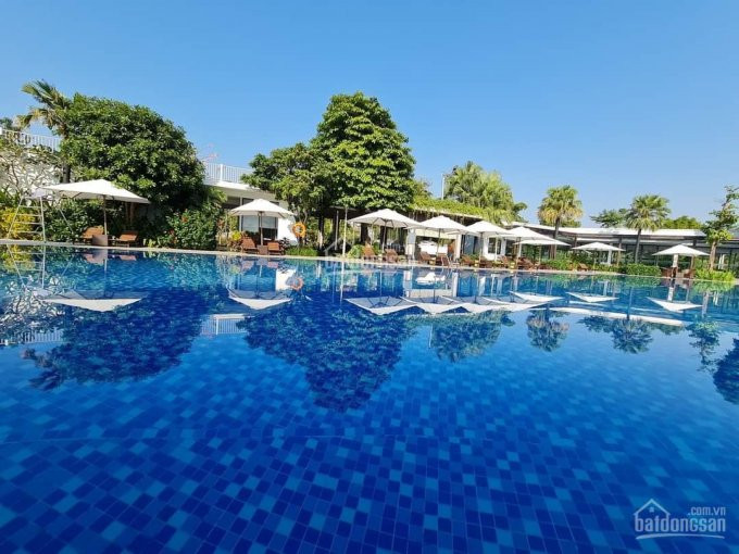 Trực Tiếp Pkdcđt Mở Bán Quỹ Ngoại Giao Biệt Thự Xanh Villas - Vị Trí đẹp Hotline: 0822 92 9999 13