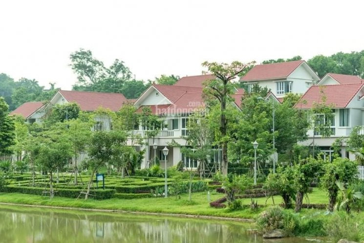 Xanh Villas, Thiên đường Sống Cho Mọi Người 6