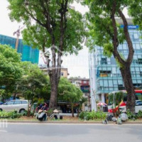 101m2 Nhà Kim Mã Chỉ Nhỉnh 8 Tỷ