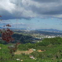1,2 Ha Thôn 2 đại Lào, View đỉnh Núi đường 4m, Cách Trung Tâm 8km