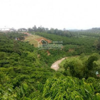 1645m2, đất đồi Chân Vườn Chạm Suối Lớn, Có 300m2 Thổ Cư, Ngay Kcn Lộc Sơn