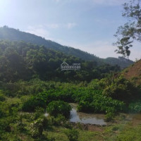 7ha đất Rsx Bám Mặt đường Nhựa Phù Hợp Làm Trang Trại Kết Hợp Nhà Vườn Tại Kim Bôi, Lương Sơn