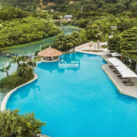 Biệt Thự đồi Xanh Villas 400m2 Xây Thô Hoàn Thiện Ngoài Chỉ Từ 113 Tỷ Sang Tên Chính Chủ Có Sổ đỏ