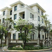 Chính Chủ Bán Nhanh Biệt Thự 2mt Vinhomes Golden River Ba Son Dt: 20x22m, Dtcn: 437,5m2 Hầm 4 Lầu, Giá 420 Tỷ