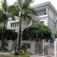 Chính Chủ Bán Nhanh Biệt Thự Mỹ Toàn 1 , Phú Mỹ Hưng, Diện Tích 8x18 Giá Bán 22 Tỷ Lh 0393260232