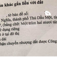 Chính Chủ Bán Nhanh Nhà Mặt Tiền Cmt8, P Chánh Nghĩa, Thủ Dầu Một, Bình Dương, Dt 128,5m2, 5xm25m, Giá Rẻ 11 Tỷ