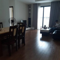 Chính Chủ Cần Bán Ch 3pn 110m2 View Trọn Nhạc Nước Timescity, Giá 45 Tỷ Bao Phí Lh 0963 702 813