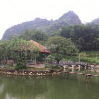 Chính Chủ Cần Chuyển Nhượng Homestay Nghỉ Dưỡng Nhà Vườn Diện Tích 5800m2 Tại Lương Sơn - Hòa Bình