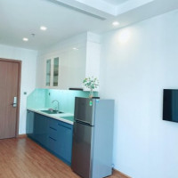 Chính Chủ Cho Thuê Nhanh Căn Hộ Giá Tốt Nhất Tại Vinhomes Greenbay - Mễ Trì